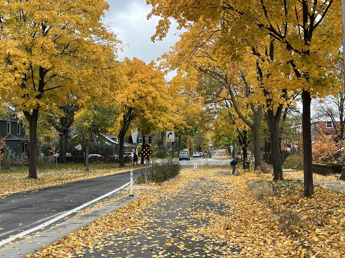 Have you ridden the protected leafway on Blaisdell Avenue yet?