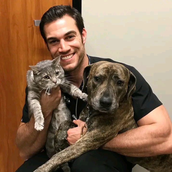ust_van95180's tweet photo. @TrumpWarRoom “As your trusted veterinary expert 🩺🐾, I provide care advice and offer healthy, well-bred pet dogs for sale anytime 🐕✨. Message me for expert help or dog inquiries 📩—your pet’s well-being matters most ❤️.” https://t.co/62hDJi2SHh