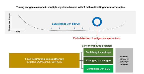 Blood Cancer Discovery tweet media