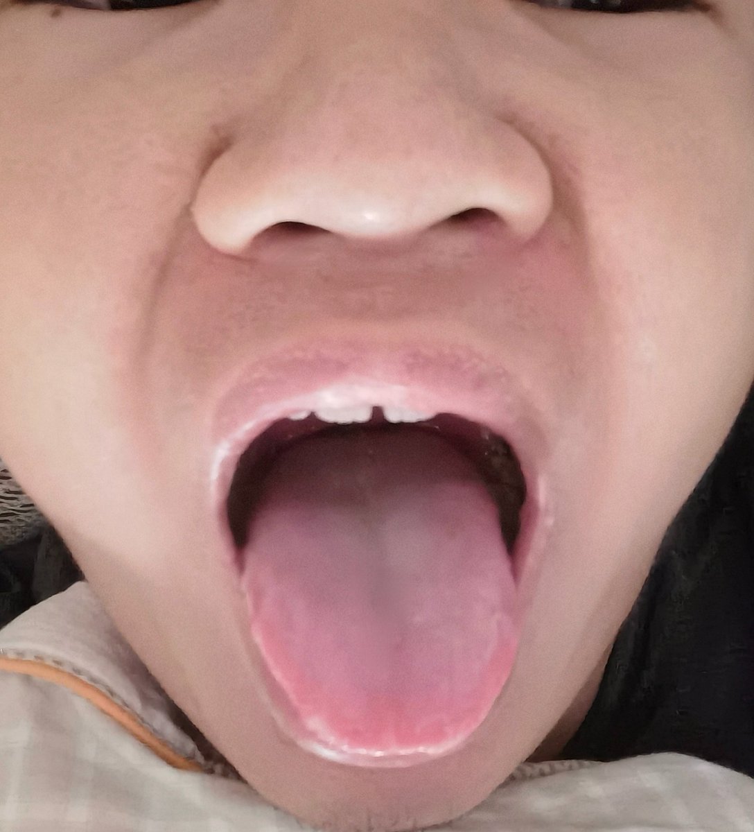 广州厕奴🚽吃屎💩闻屁 tweet media