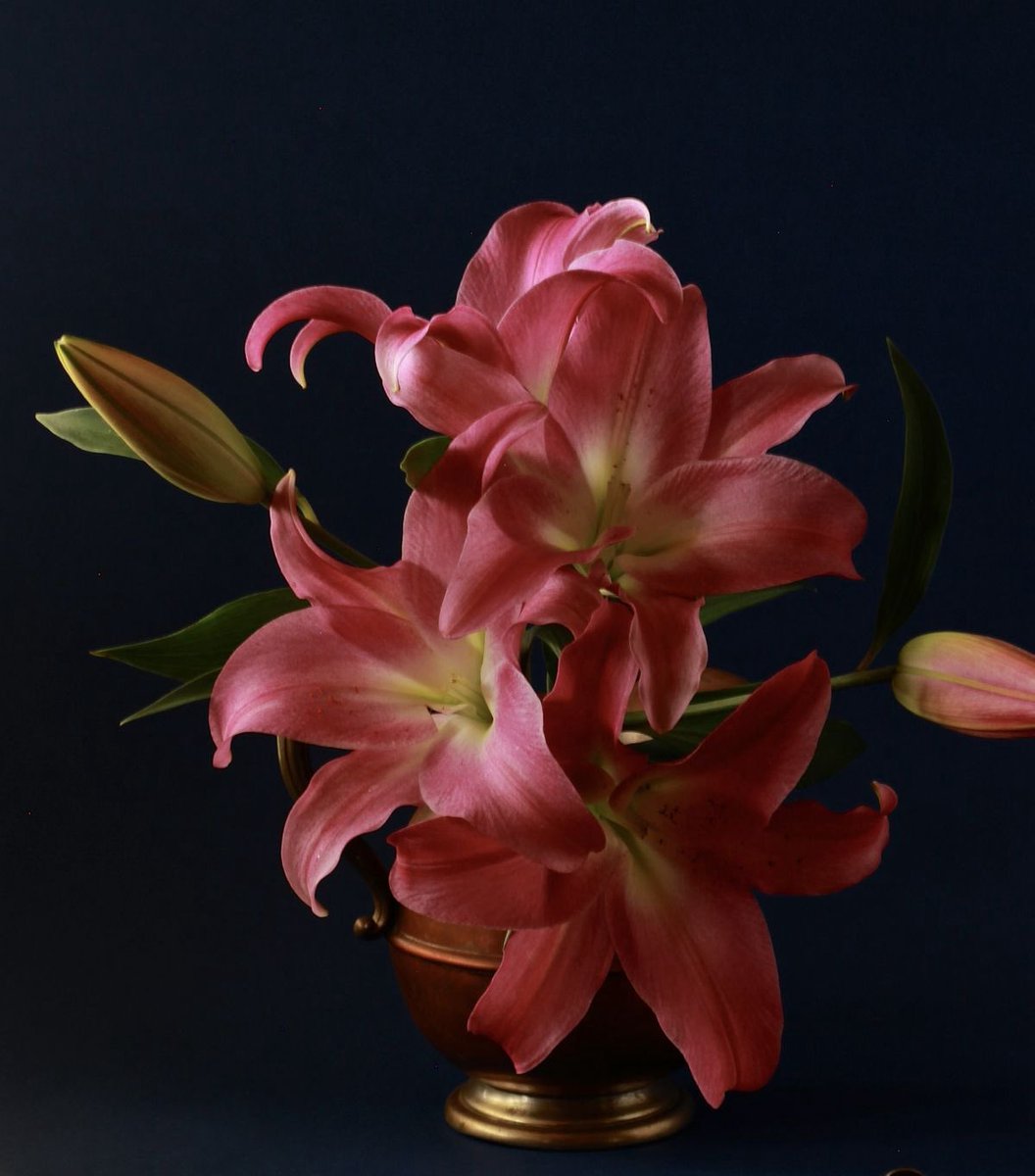 ✮⋆˙ (@dmugg7) on Twitter photo 