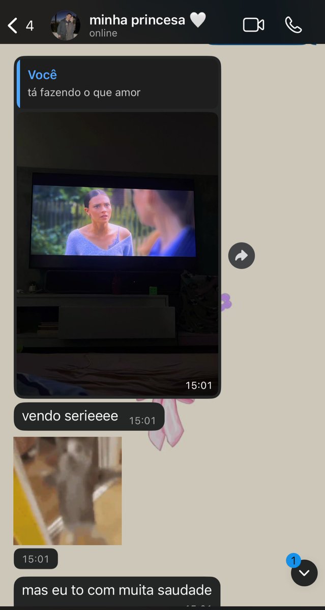 Lucastrinask's tweet photo. eu trabalhando e ela olhando série na minha casa, como tudo deve ser https://t.co/ChEJR589eW
