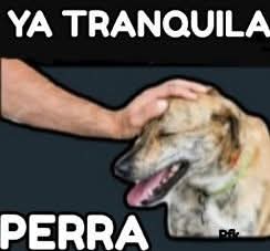 <a href="/danyhurtado_2/">Daniela Hurtado</a> Cálmate zorra narco paraca