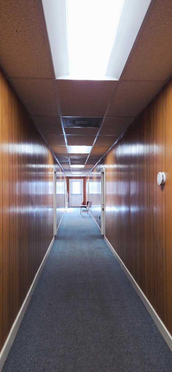 Complaining abt you in somatic therapy, referring to you as a cold buzzing green feeling, etc.