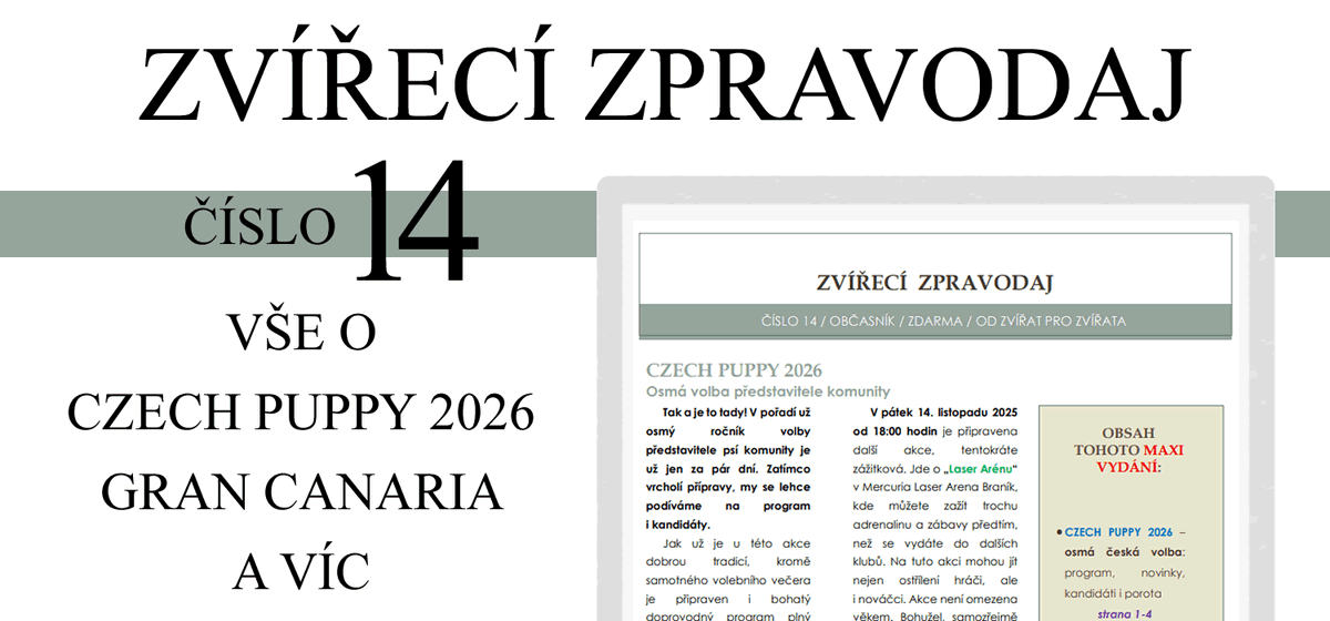 Jsem-Pes tweet media