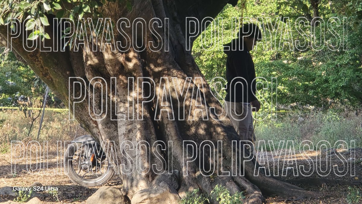 PolipayasoSi's tweet photo. #Polipayaso #Yautepec 
SE QUITA LA VIDA EN EL JAWEI DE COCOYOC, Un sujeto decidió salir de su casa agarrar su moto y una soga e ir a buscar el árbol más fuerte que resistiera su peso para ahorcarse y para partir de este mundo, era de avionetas Municipio de Cuautla. https://t.co/uwG1R5gOdh