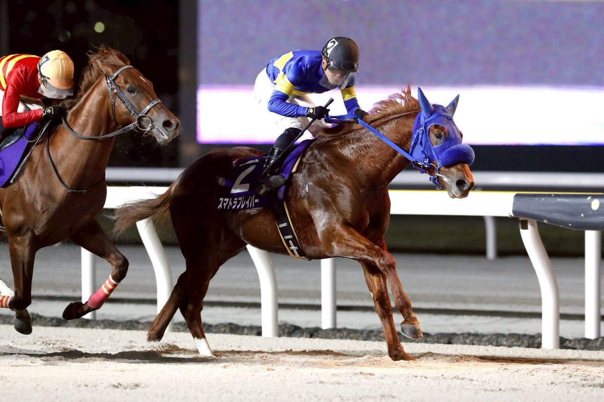 野畑凌 tweet media