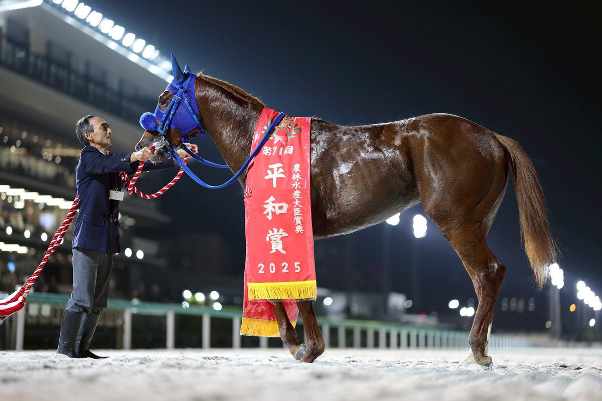 野畑凌 tweet media