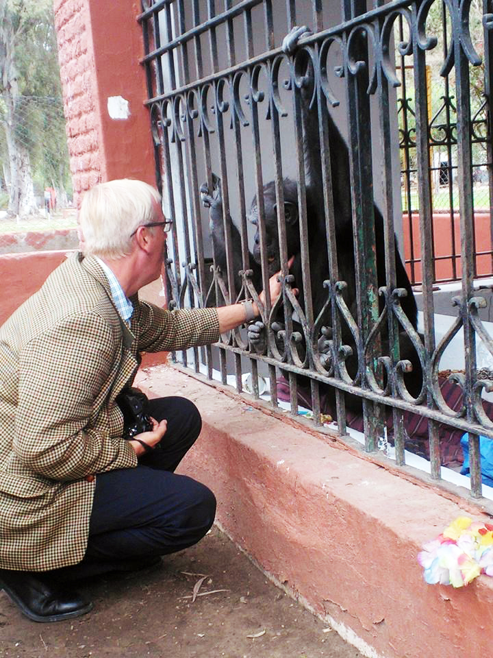 nautilusmar's tweet image. El Convenio CITES se ha convertido en una brecha abierta al Tráfico Ilegal de Especies en Peligro de Extinción.
@brunocardenosa @RosaTristan @TafallaMarta @joaquinaraujo @DeanFederacion @JorgeRiechmann @jorgeextramiana @apdda @ONU_es @CITES @DOMINGUEZLM 
pressenza.com/es/2025/11/con…