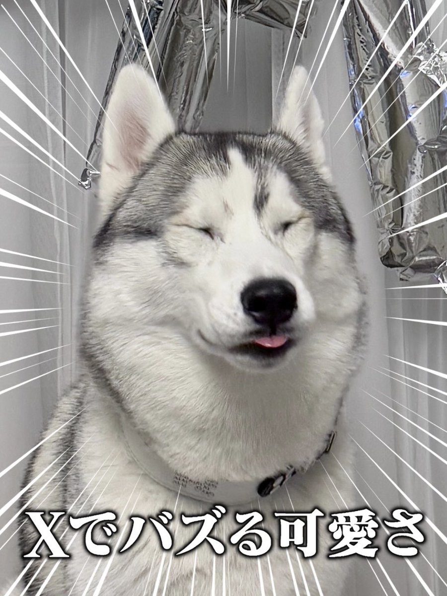 ひよこ様ついっち (@anohito_dareda) / Posts / X