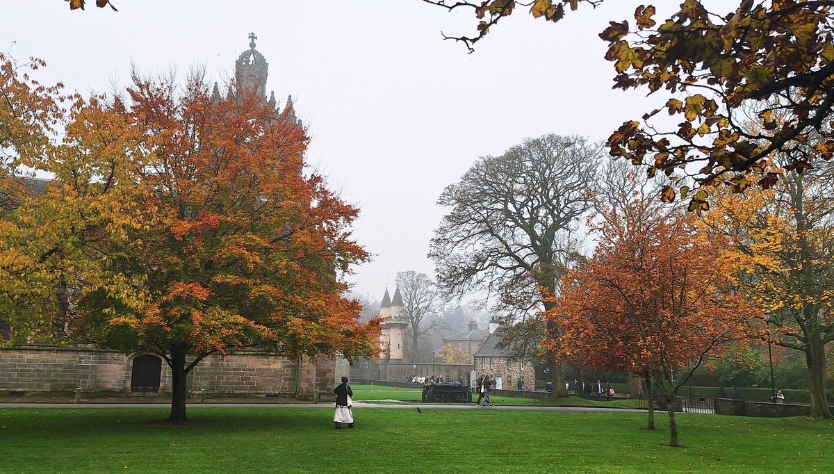 Very soft, deep autumnal feeling today: