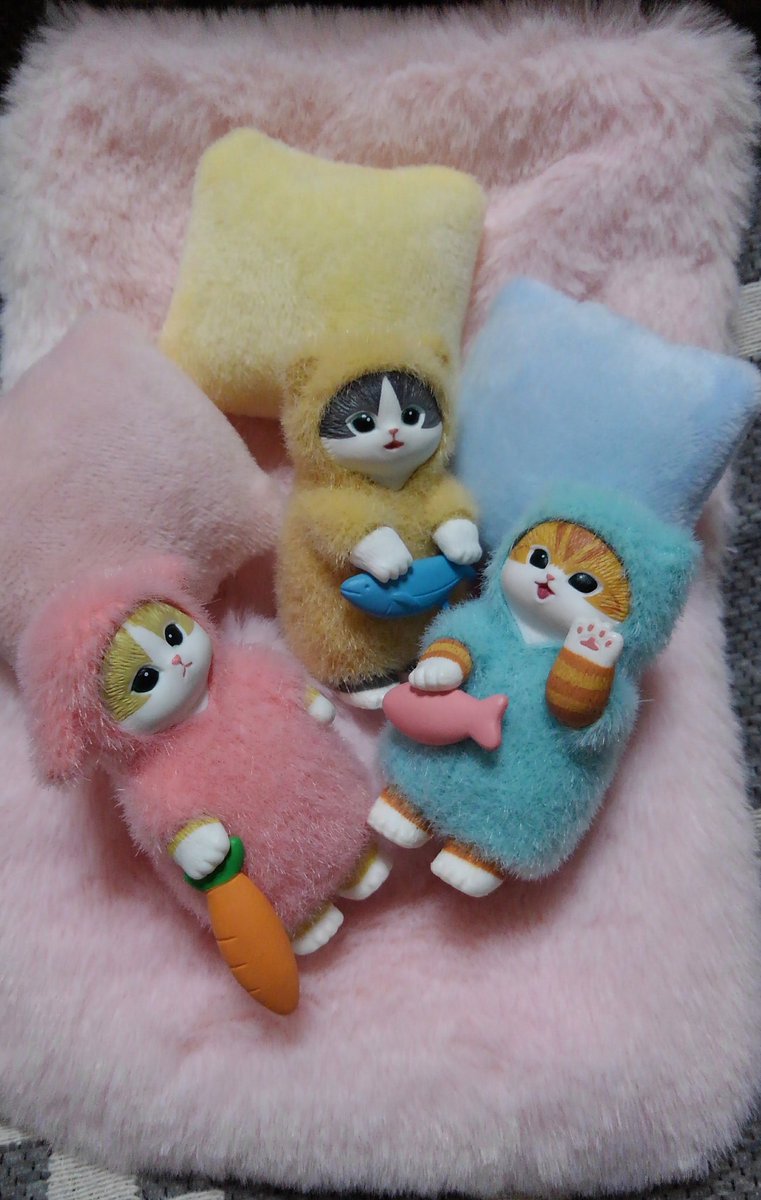 ꫛꫀꪝ✧‧˚新色ふわふわこねこちゃん♡ テディベア しぃちゃん on X