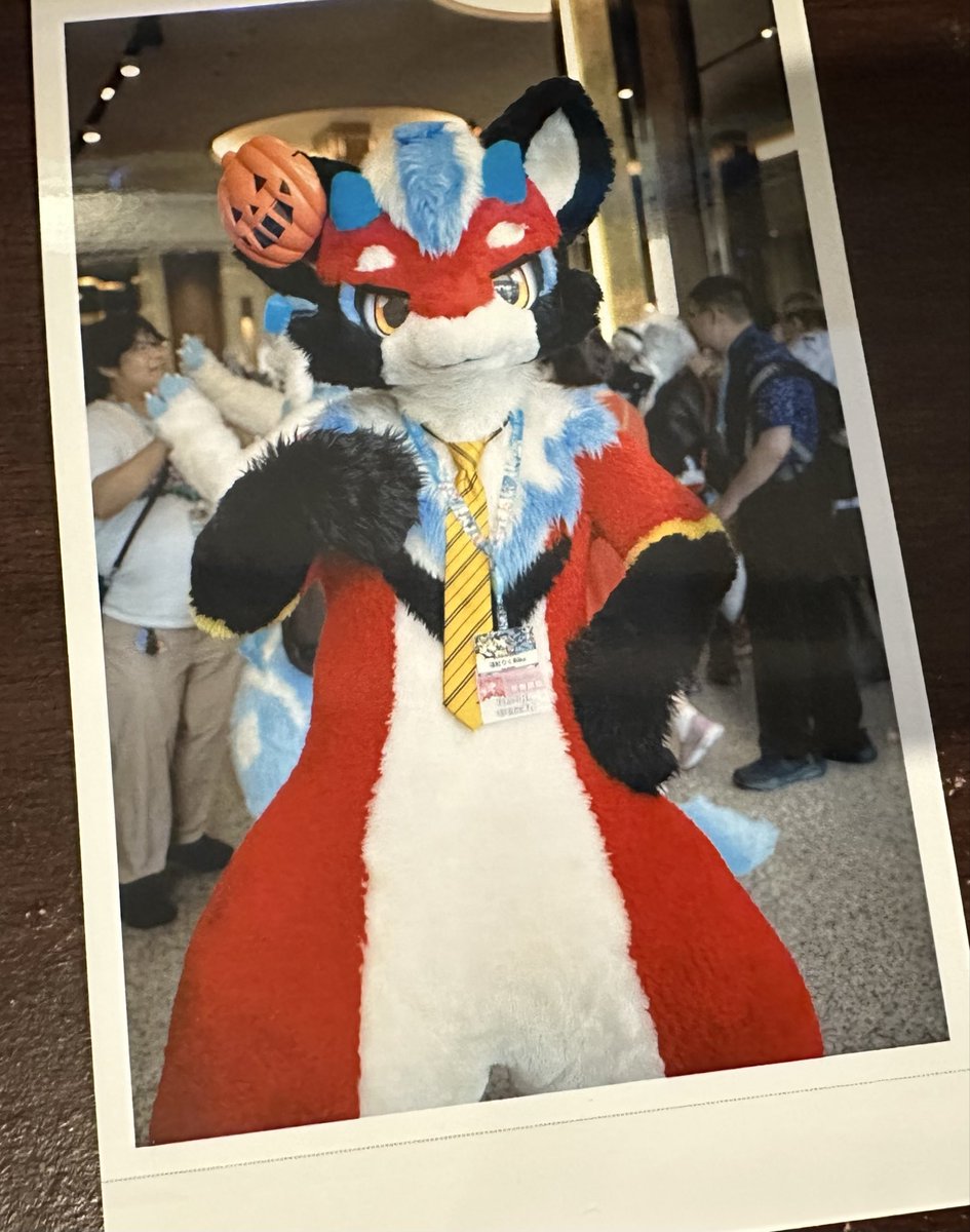 來一個實體毛照❤️
📷：<a href="/Init_Monsters/">小怪 🦊</a> 
#fursuit #FursuitFriday #Infurnity2025