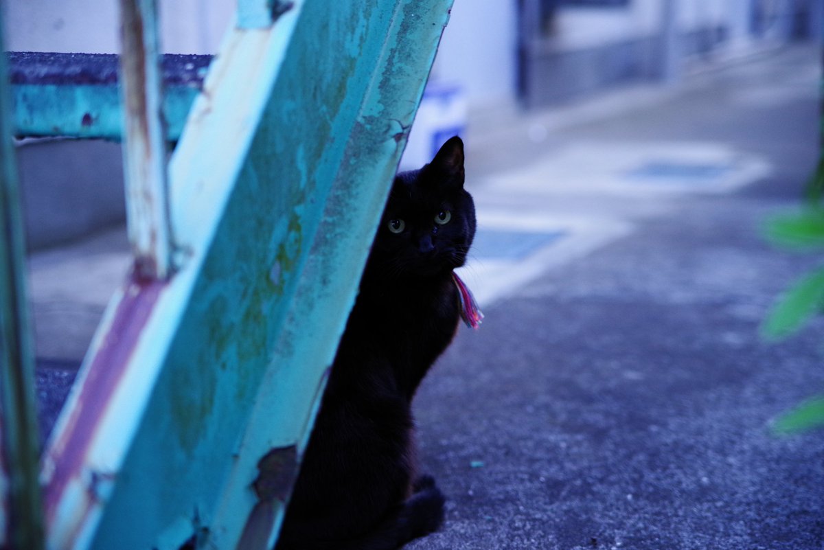四ツ打ニヒヒ🤖📶/江部研 tweet media