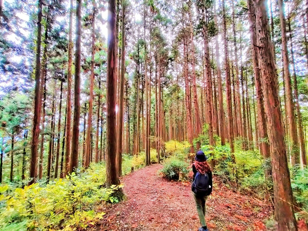 amami325's tweet photo. #岩湧山
#��スキ https://t.co/C2bl3CofnD