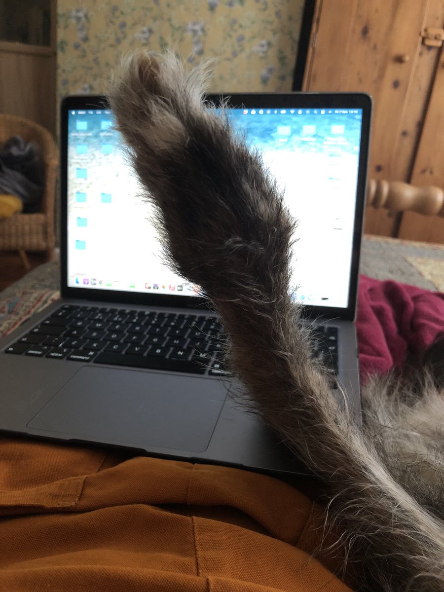 Tess being my emotional work support womble ♥️