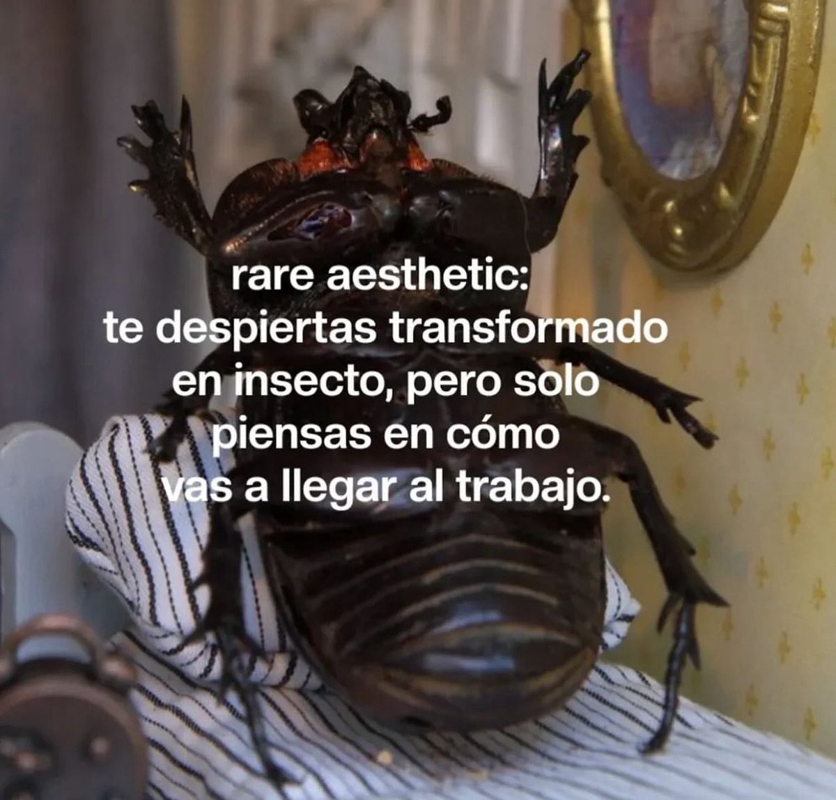 conoloracigarro's tweet photo. https://t.co/NOrxvlTY1u