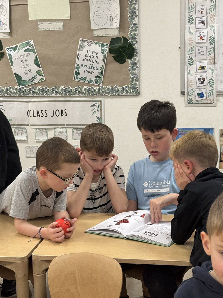 sacred_heartps's tweet image. 📚✨ Our P6/7 pupils loved spending time with their P2/3 buddies today for some buddy reading!
It was wonderful to see everyone sharing stories, helping each other, and enjoying a good book together. 💛
#BuddyReading #ReadingForEnjoyment