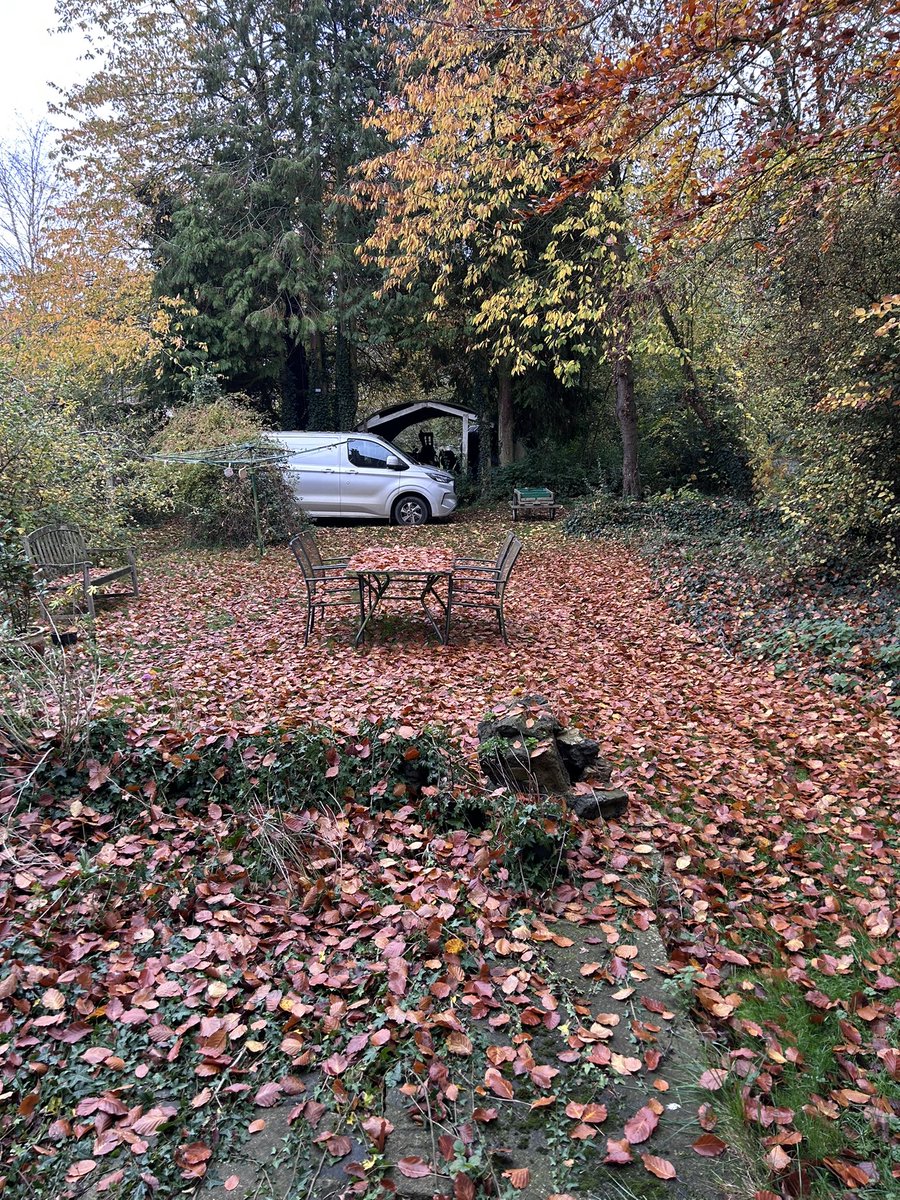 LoveGrowingVeg's tweet photo. The benefits of having an enormous beech tree is you really know when it’s autumn 😆 no I will not be using a leaf blower as will never own one or rake the leaves up. The wind will blow some into little piles for beasties and worms and I will enjoy them while they are here 😍 https://t.co/o2PIobzNmG