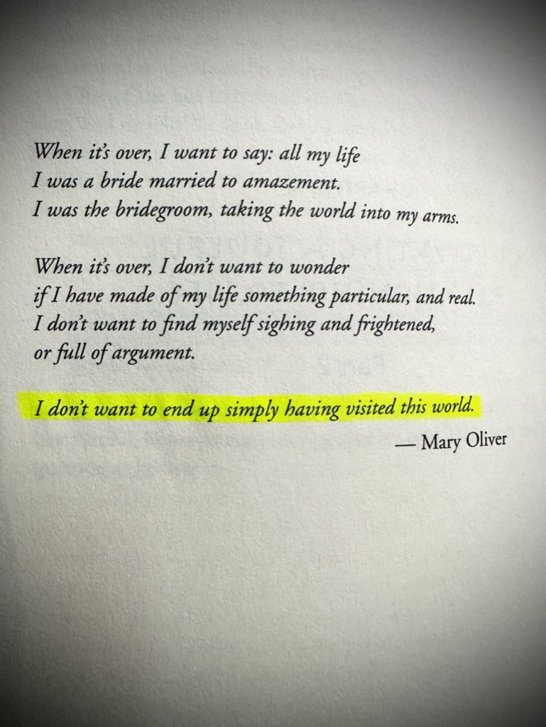 Sean DeLaney (@seandelaney23) on Twitter photo 