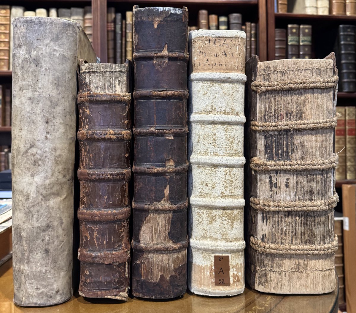 This is literally the best book list that rewires your brain for success