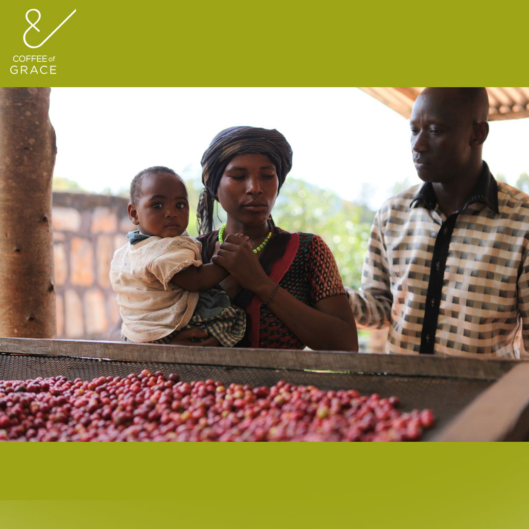 November is for gratitude — and we’re thankful for every farmer, roaster, and coffee lover who brings our mission to life. 💛
Every cup tells a story of grace.
#Thankful #CoffeeOfGrace #GratitudeSeason