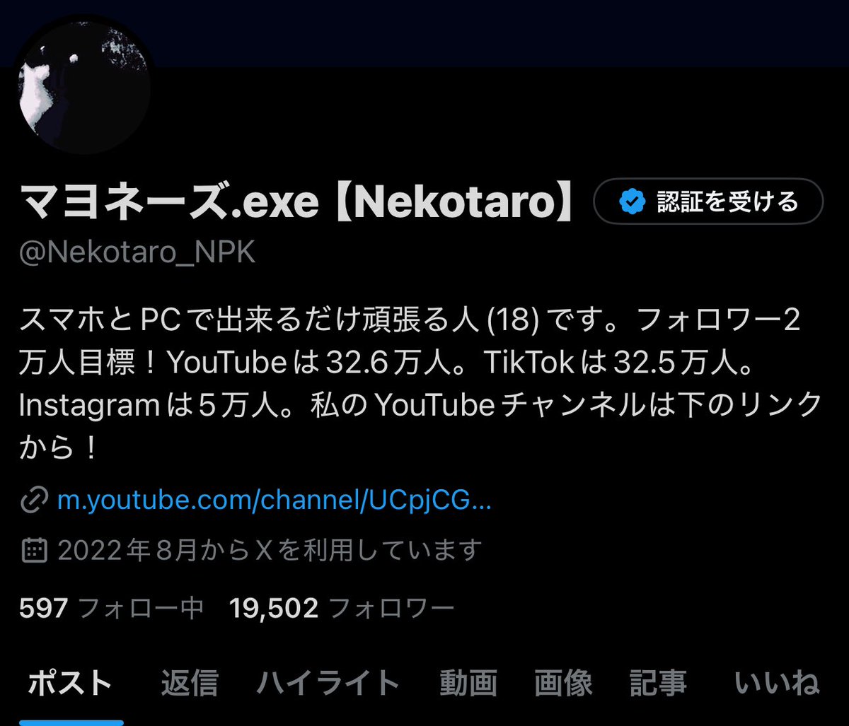 マヨネーズ.exe【Nekotaro】 (@Nekotaro_NPK) / Posts / X