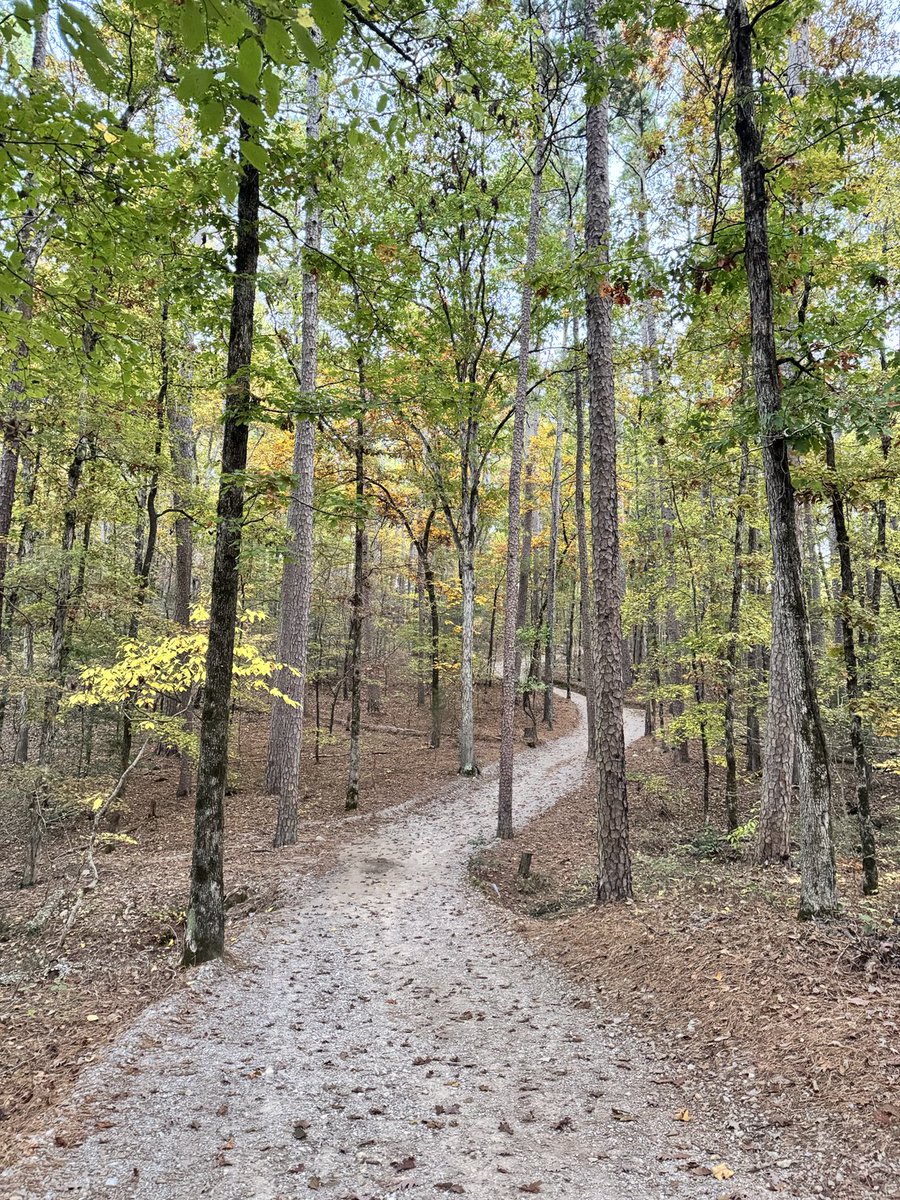 Emily Steiner Wright tweet media