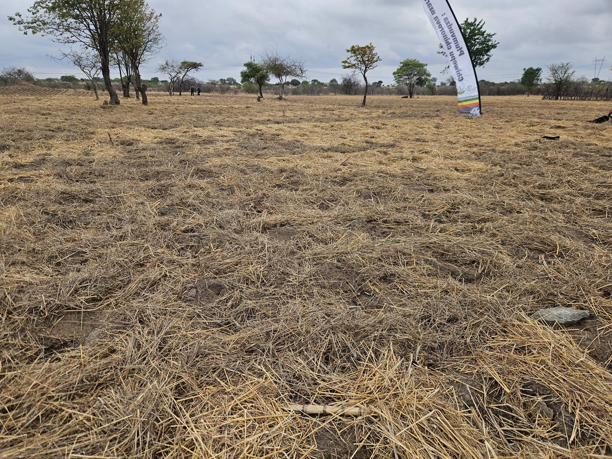 MinofAgric, Mechanisation, & Water Resources Dev. tweet media