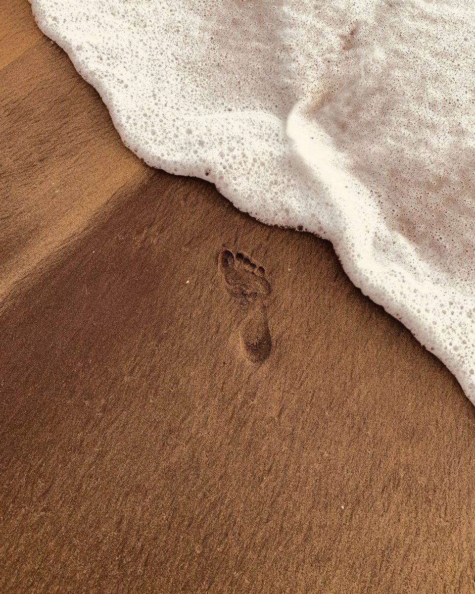 Paul T Tran tweet media