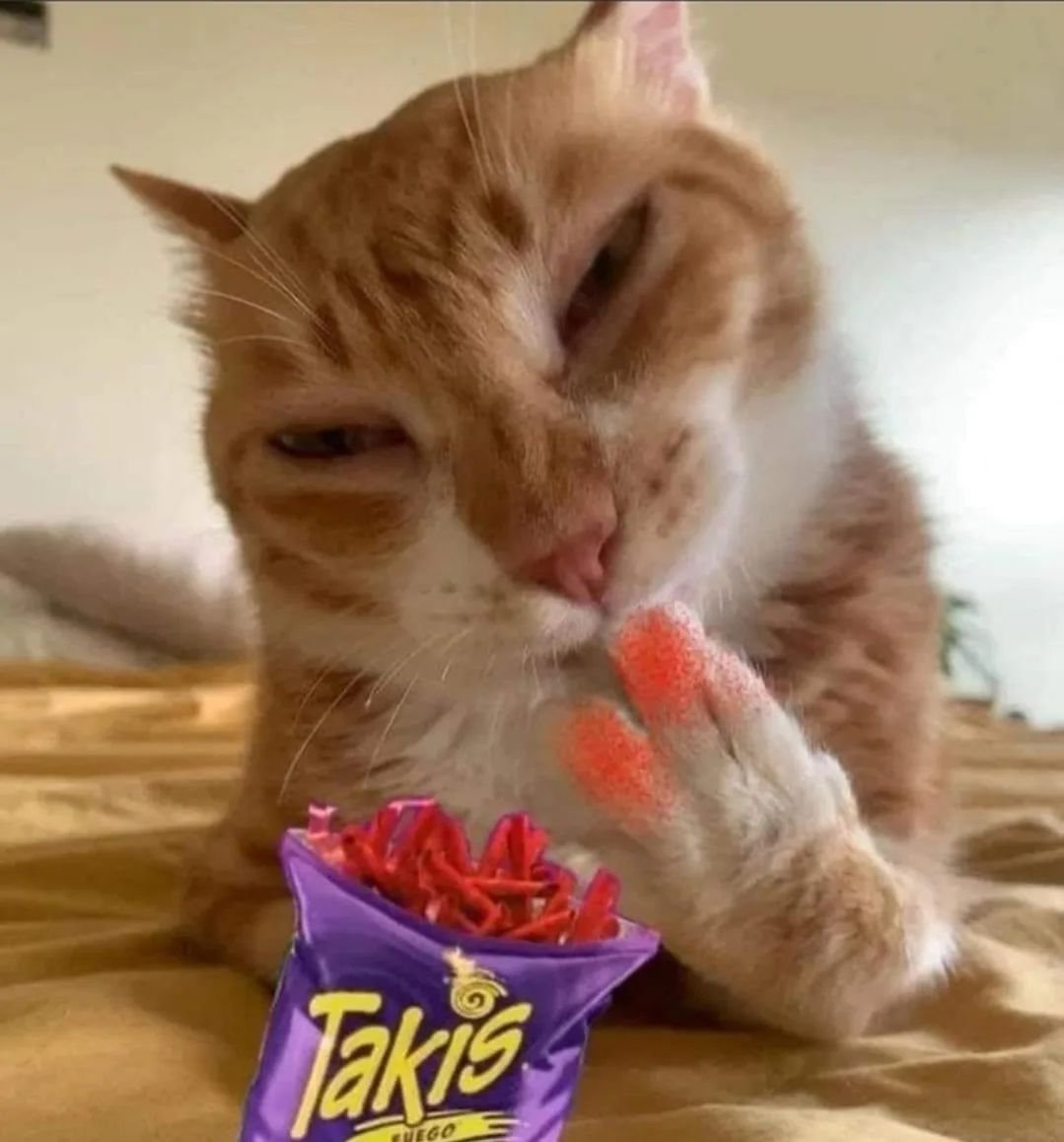 Punch Cat tweet media