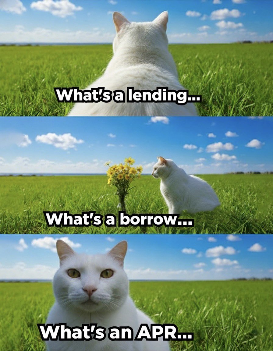 You can experience it all on Save…