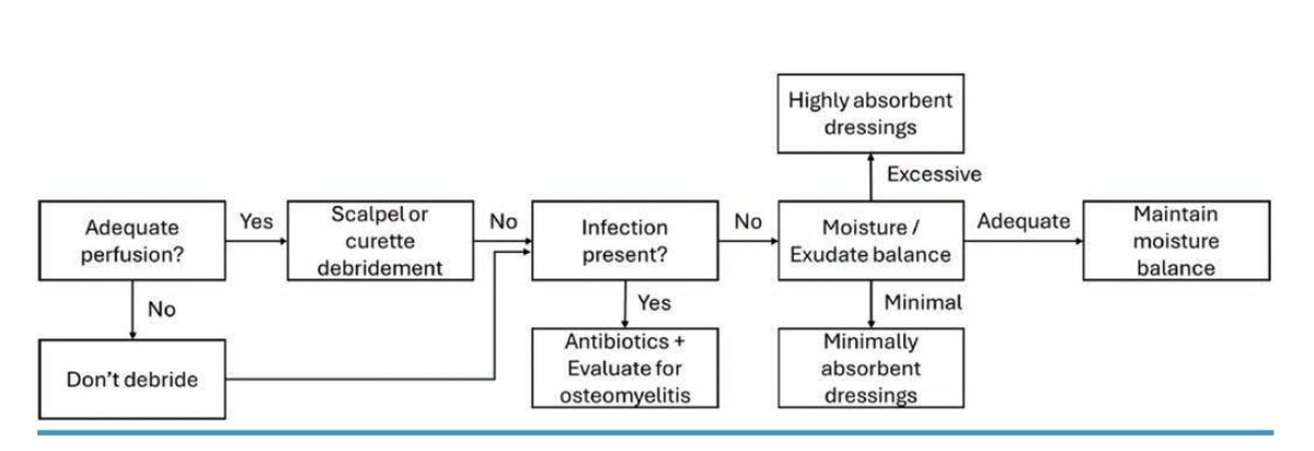 CLIjournal's tweet image. Chronic Wound Care of the Lower Extremities: What Every Vascular Specialist Needs to Know
This review discusses how to evaluate the underlying causes of chronic wounds and how to characterize a wound during initial workup. 
hubs.ly/Q03Rt2Mw0