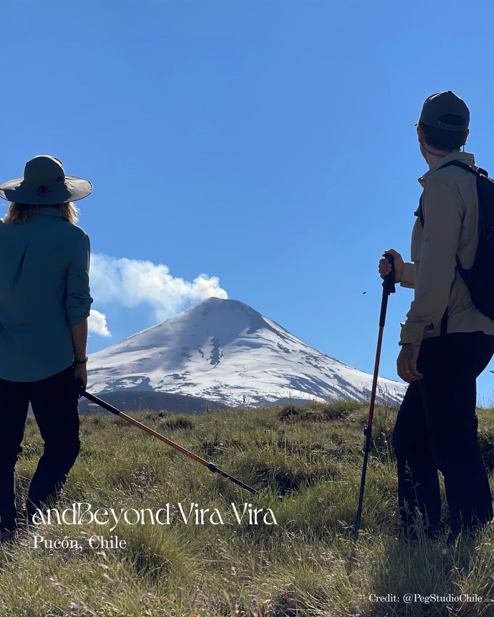 Stay Beyond Green tweet media