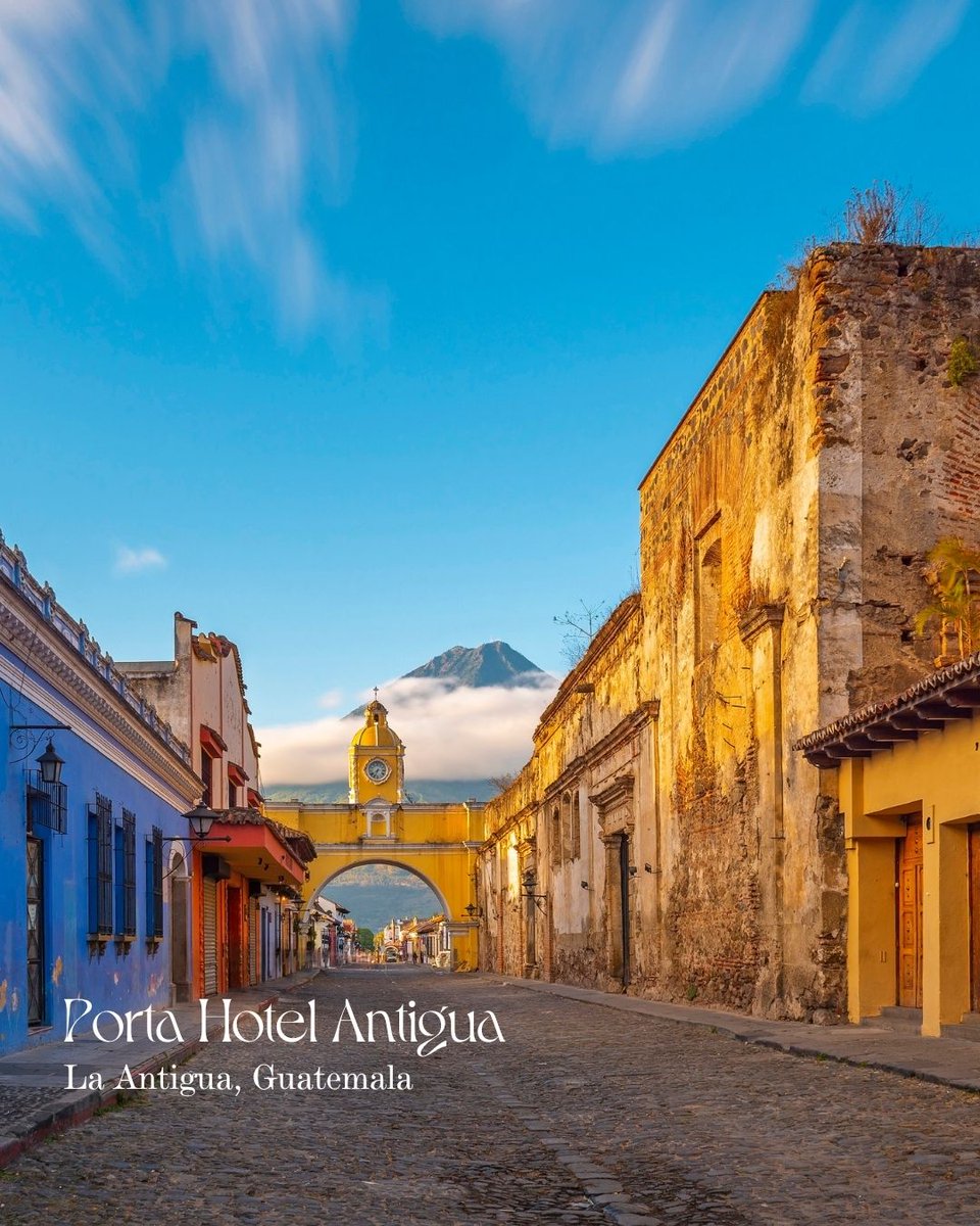 Stay Beyond Green tweet media