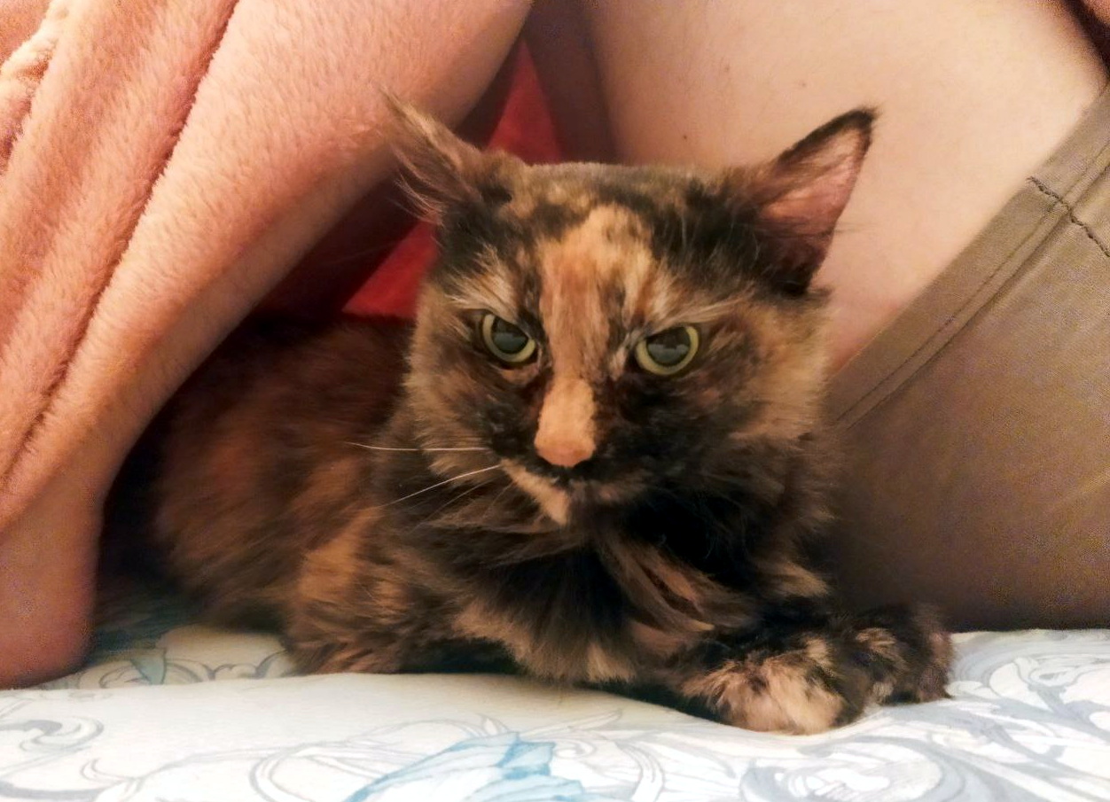 G5KEr22XUAAvs4c?format=jpg&name=large