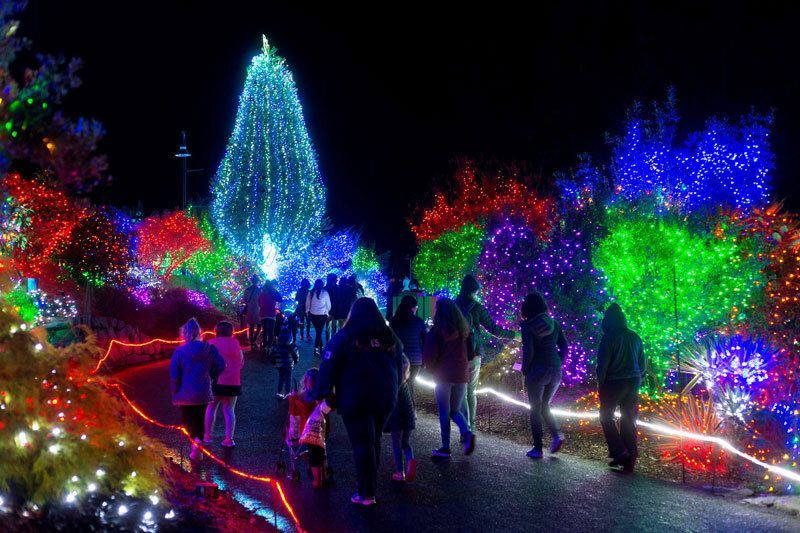 シアトル日本語情報サイト「ジャングルシティ」🇺🇸 on X