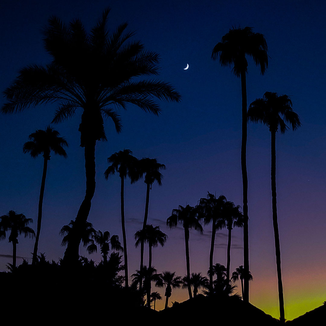 During the month of November in our desert, if you have a spray system, watering for 4 minutes a day, 7 days a week is sufficient. If you have a rotor system, 10 minutes a day, 7 days a week is ample. 💧⏳
`
Learn more: cvwatercounts.com/drought-irriga…