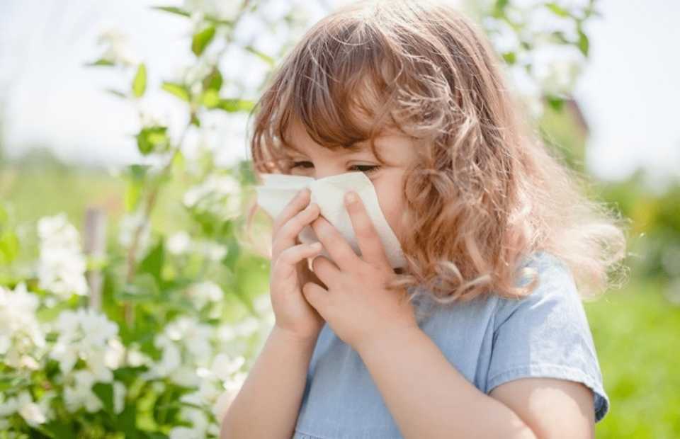 Rinitis alérgica en niños: cómo reconocer esta patología primaveral que afecta al 20% de la población infantil en Chile. portalredsalud.cl/2025/11/07/rin… a través de <a href="/PortalRedSalud/">Portal Red Salud Noticias®</a>