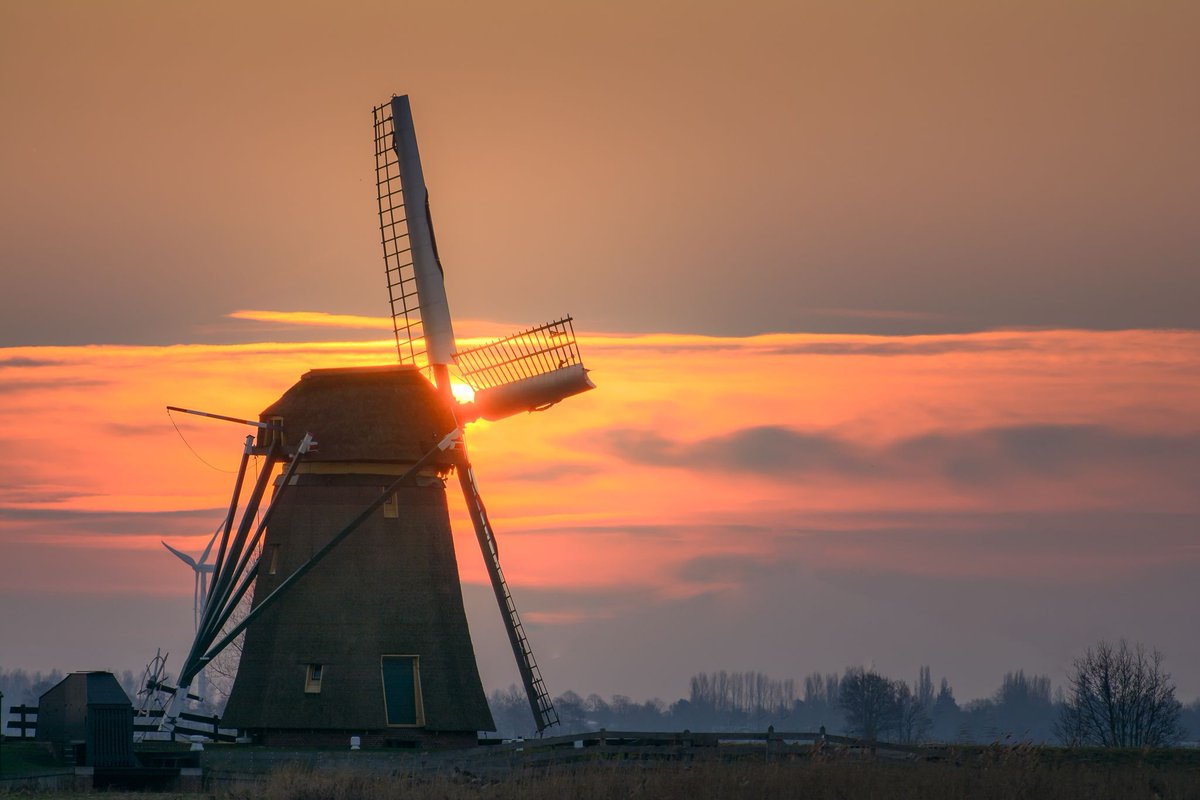 Dutch Sunrise 

A long lense sunrise shot of the #Meerburgermolen in #Leiderdorp, the Netherlands.

(c) 2018-today Martijn van der Nat all rights reserved