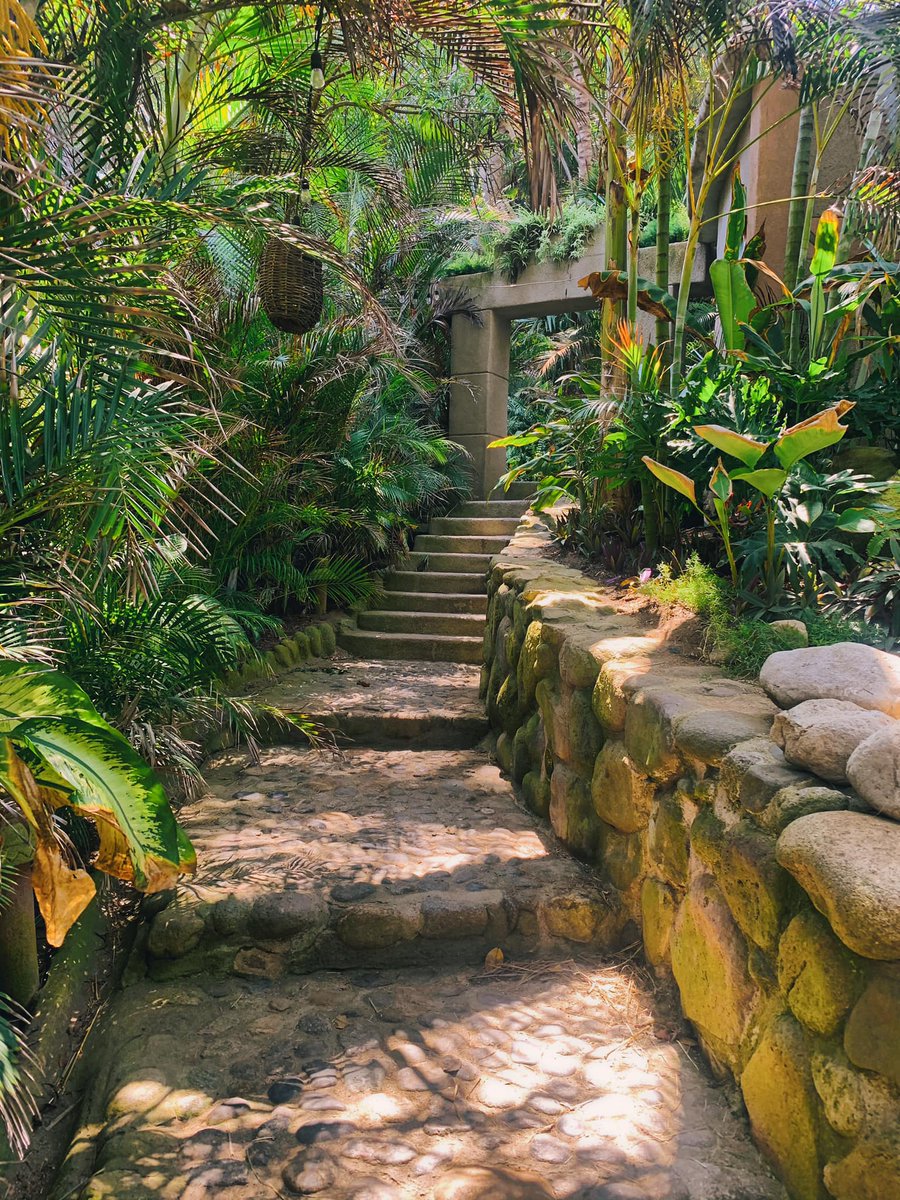 playaescondida's tweet photo. Nestled between lush jungle and sparkling waves, this hidden gem offers breathtaking views, serene vibes, and a vibrant local culture. 🌺🏄‍♂️ Ready to escape the ordinary? Your slice of paradise awaits! 🌞 #Sayulita #PlayaEscondida #TravelGoals #TropicalEscape https://t.co/8SWdC4Sg4S