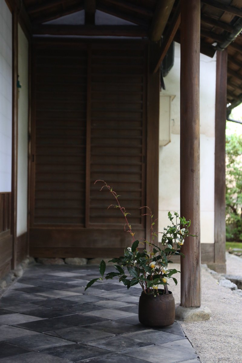 建仁寺　栄西茶会

今回の茶は『喫茶養生記』に倣い、山添村にある伊川健一氏と共に管理している瑞徳舎の自然栽培茶園製。

この葉を茶碾で挽き、釜に投じ、煮て、汲み分ける。

まだ急須の無い時代。
栄西禅師もきっとこうしてこの建仁寺でも召し上がっていたのだろう。