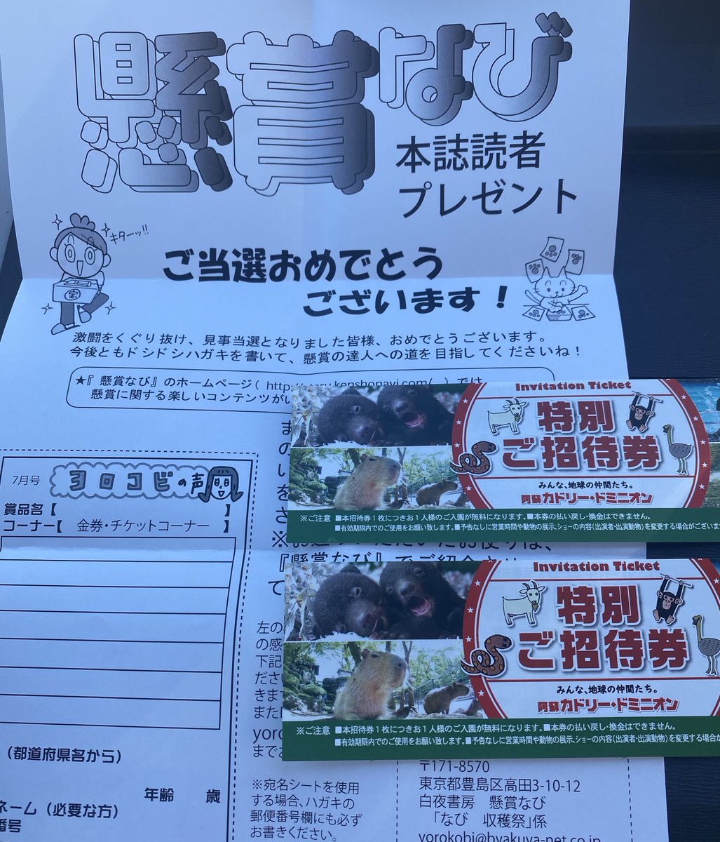 ⚠️注‼️発送が特定の月末限定品 気になる方はお早目に 匿名配送 九谷