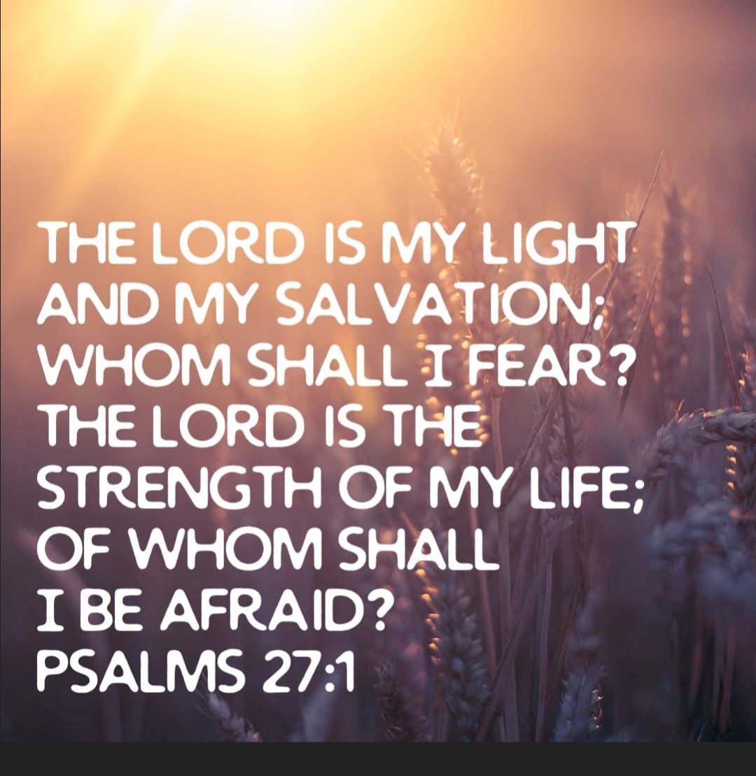 MMcLaughlinsong's tweet image. The Lord is my light and my salvation.