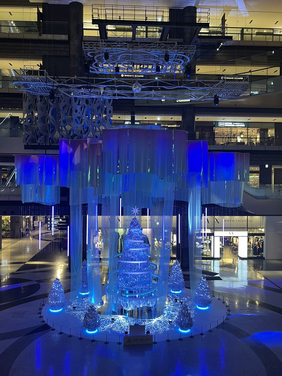 キタムラアイ（イルカちゃん🐬）→デザイナー＆海洋生物専門