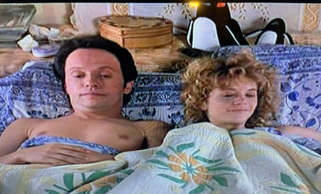 QUILTS IN THE MOVIES!
Harry (Billy Crystal) and Sally (Meg Ryan) certainly look comfy under this beauty in 1989's "When Harry Met Sally."