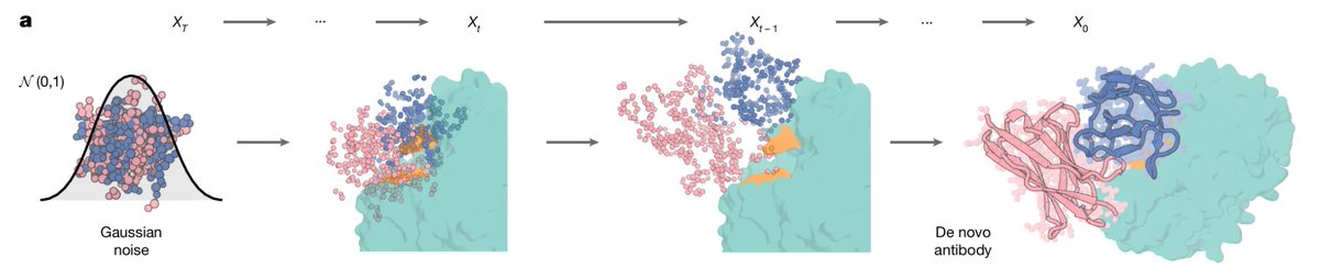 ykfrs1217's tweet image. 抗体はゼロショットで作る時代…！
①抗原のアミノ酸配列を入力すると、くっつく抗体のアミノ酸配列を返すタンパク言語モデル
②エピトープの立体構造を入力すると、くっつくVHH構造（とそれを実現するアミノ酸配列）を返す拡散モデル
この２論文が１日違いでCellとNatureに出る世の中、すごい＆こわい