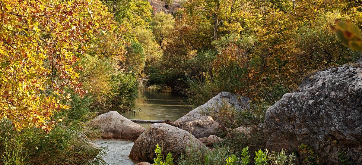 Geliyê bircuna-pira marusiyê