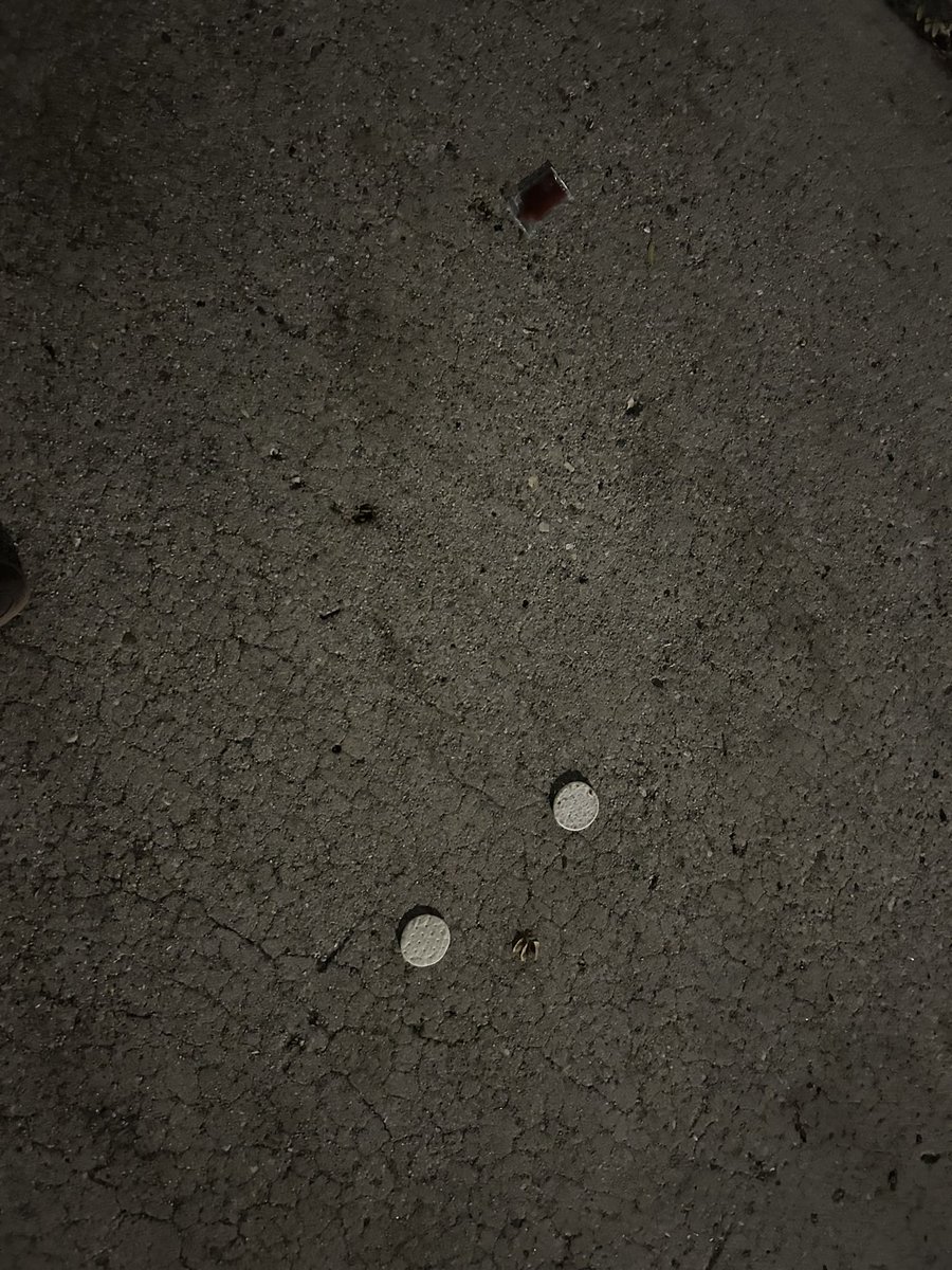 trashndgarbage's tweet image. 2/3 of a pizza lunchable