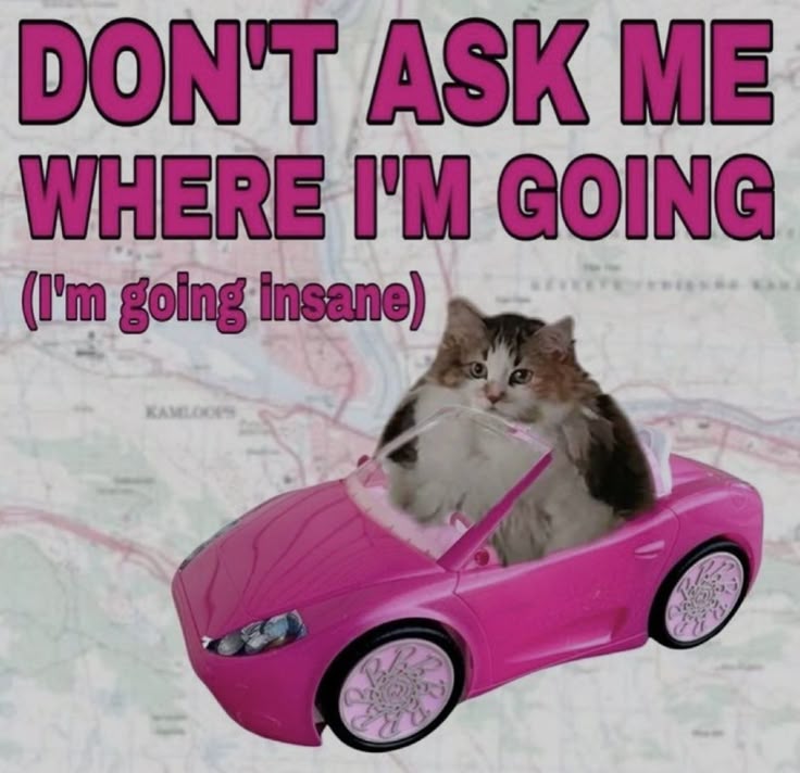 Sometimes I read posts and don't know what to reply fr - I hate it.